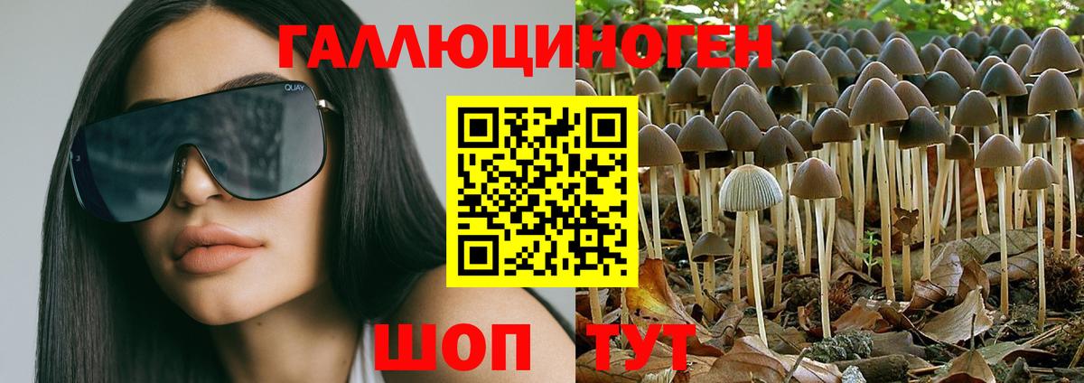 Галлюциногенные грибы мицелий Гусь-Хрустальный